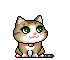 cat 3
